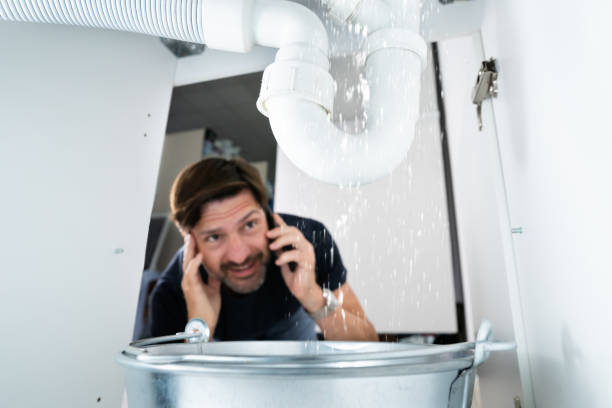 Best Pipe Repair Near Me  in Doctor Phillips, FL