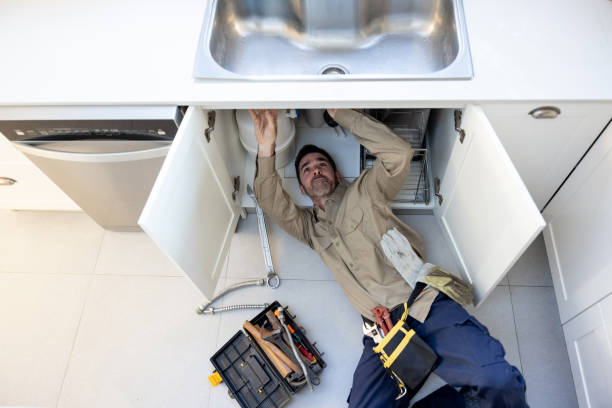 Best Toilet Repair Services  in Doctor Phillips, FL