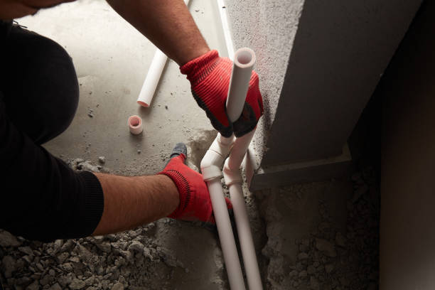 Best Shower Repair Services  in Doctor Phillips, FL